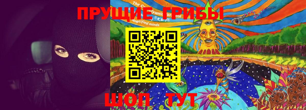 Нижнекамск  Псилоцибиновые грибы MAGIC MUSHROOMS  Вход с VPN  Псилоцибиновые грибы мицелий 