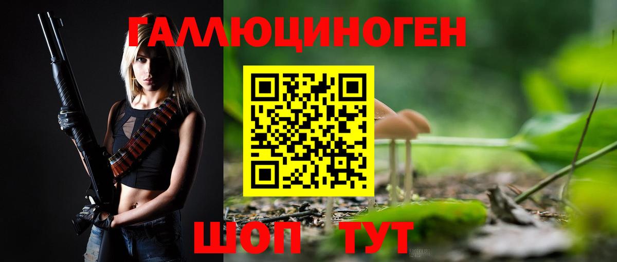 Псилоцибиновые грибы Psilocybine cubensis Нижнекамск